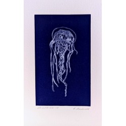 Jellyfish - IV